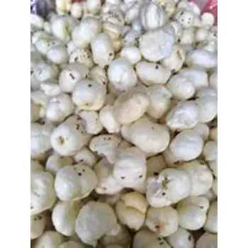 Fresh Makhana Flake Manufacturer